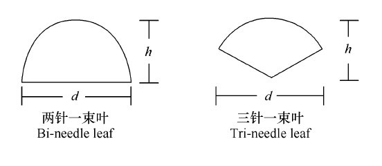 D1~MʾD